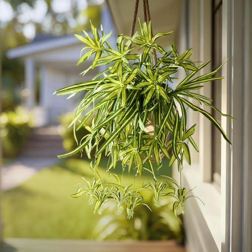 2 pcs Artificial Spider Hanging Plants Chlorophytum Greenery