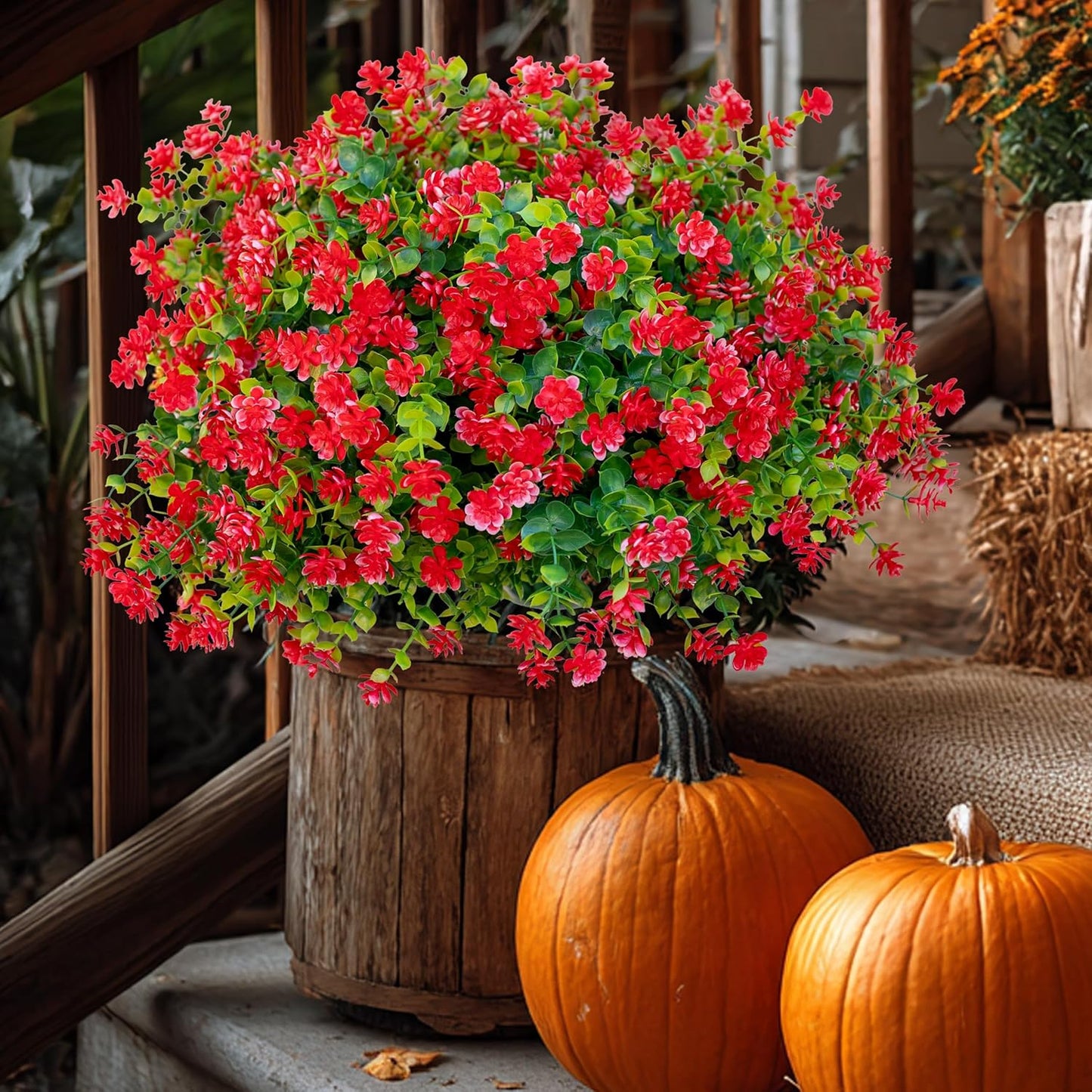 12 Bundles Boxwood Shrubs UV Resistant Porch Garden