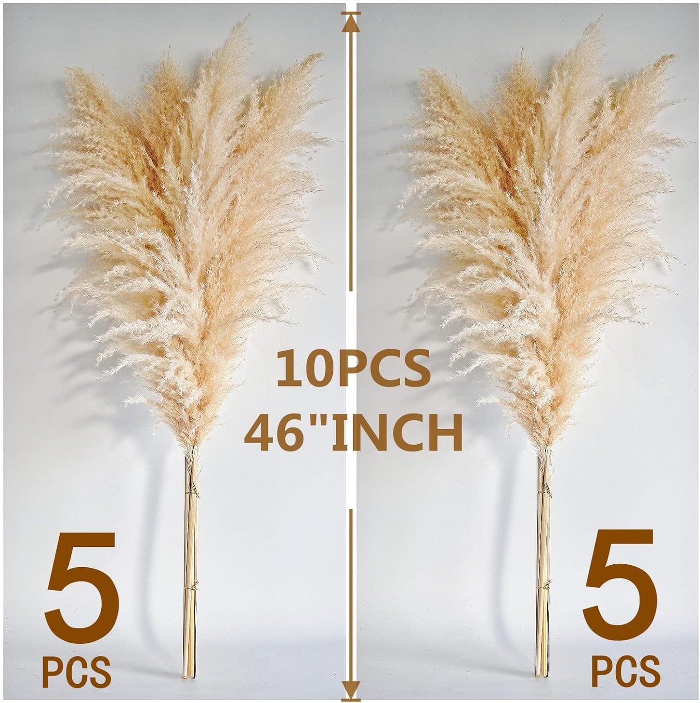 10 stems 46 inch Tall Dried Pampas Grass