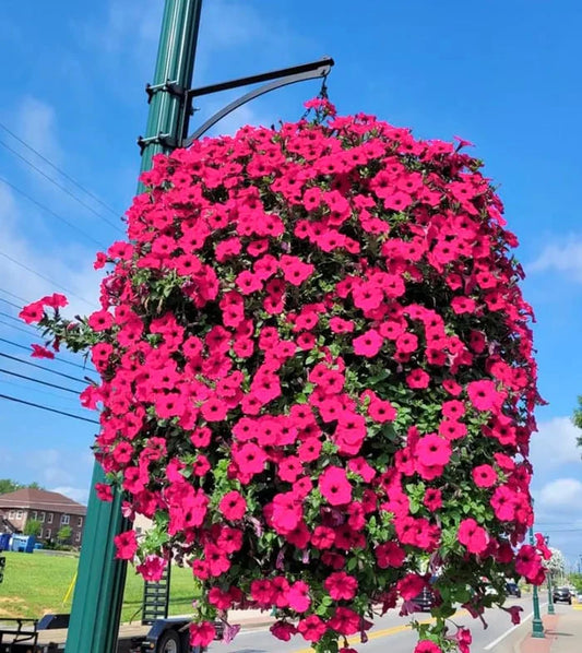 UV Resistant Artificial Morning Glory Flowers Outdoor Decor