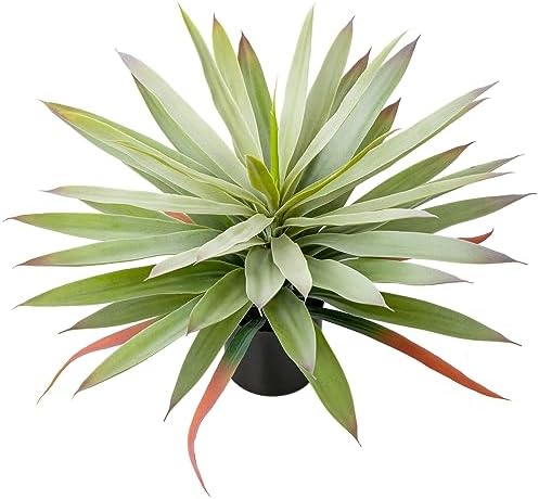 17.3 inch Artificial Agave Plant Pot Yucca Home