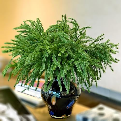 21 Bundles PE Plants UV Resistant Porch Garden