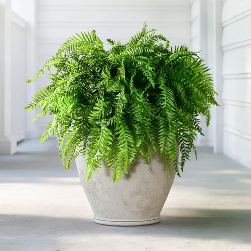 10 pcs Artificial Fern Plants Greenery Home Kitchen