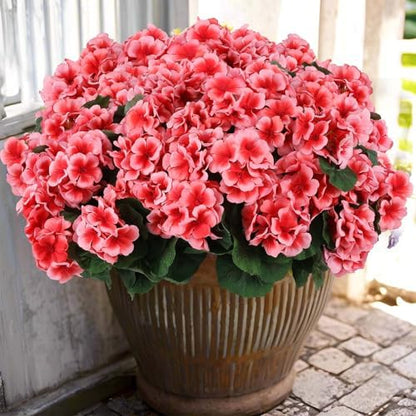 12 pcs Artificial Geranium Flowers Rose Home Kitchen
