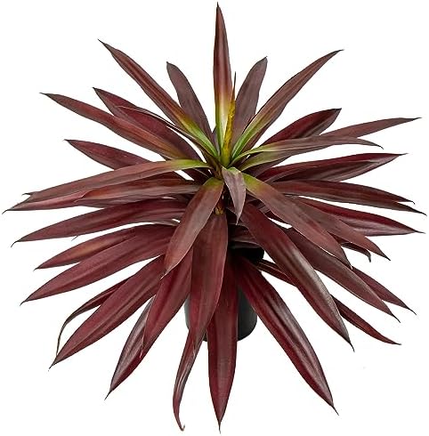 17.3 inch Artificial Agave Plant Pot Yucca Home