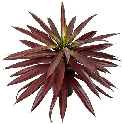 17.3 inch Artificial Agave Plant Pot Yucca Home