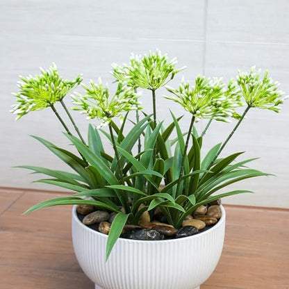 8 bundles 18.9 inch Large Artificial Agapanthus Flowers