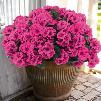 12 pcs Artificial Geranium Flowers Rose Home Kitchen