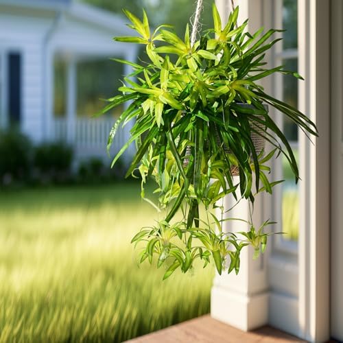 2 pcs Artificial Spider Hanging Plants Chlorophytum Greenery