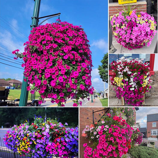 UV Resistant Artificial Morning Glory Flowers Outdoor Decor