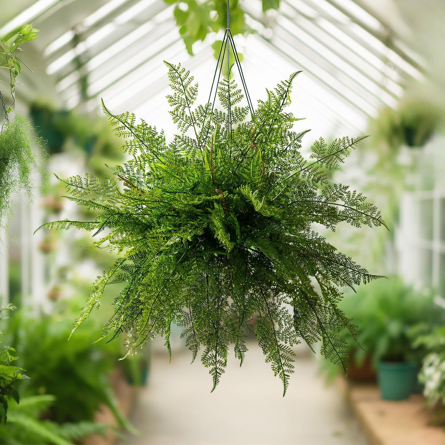 2 pack Artificial Fern Plants Greenery Decor Dried