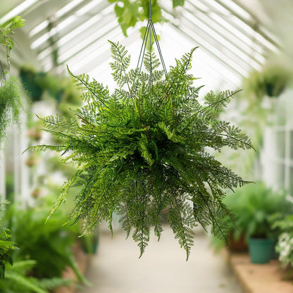 2 pack Artificial Fern Plants Greenery Decor Dried