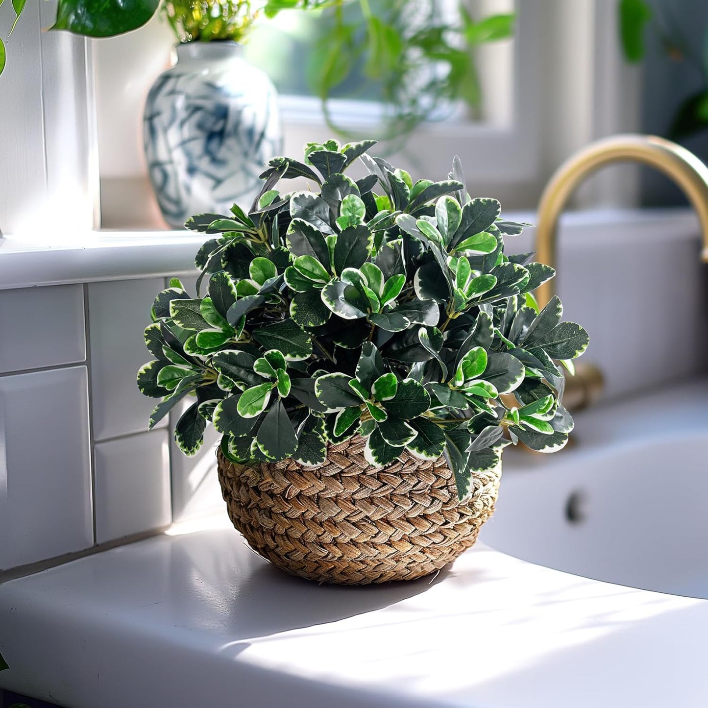 Artificial Ficus Tree Shrubs Greenery Potted Trees Plants