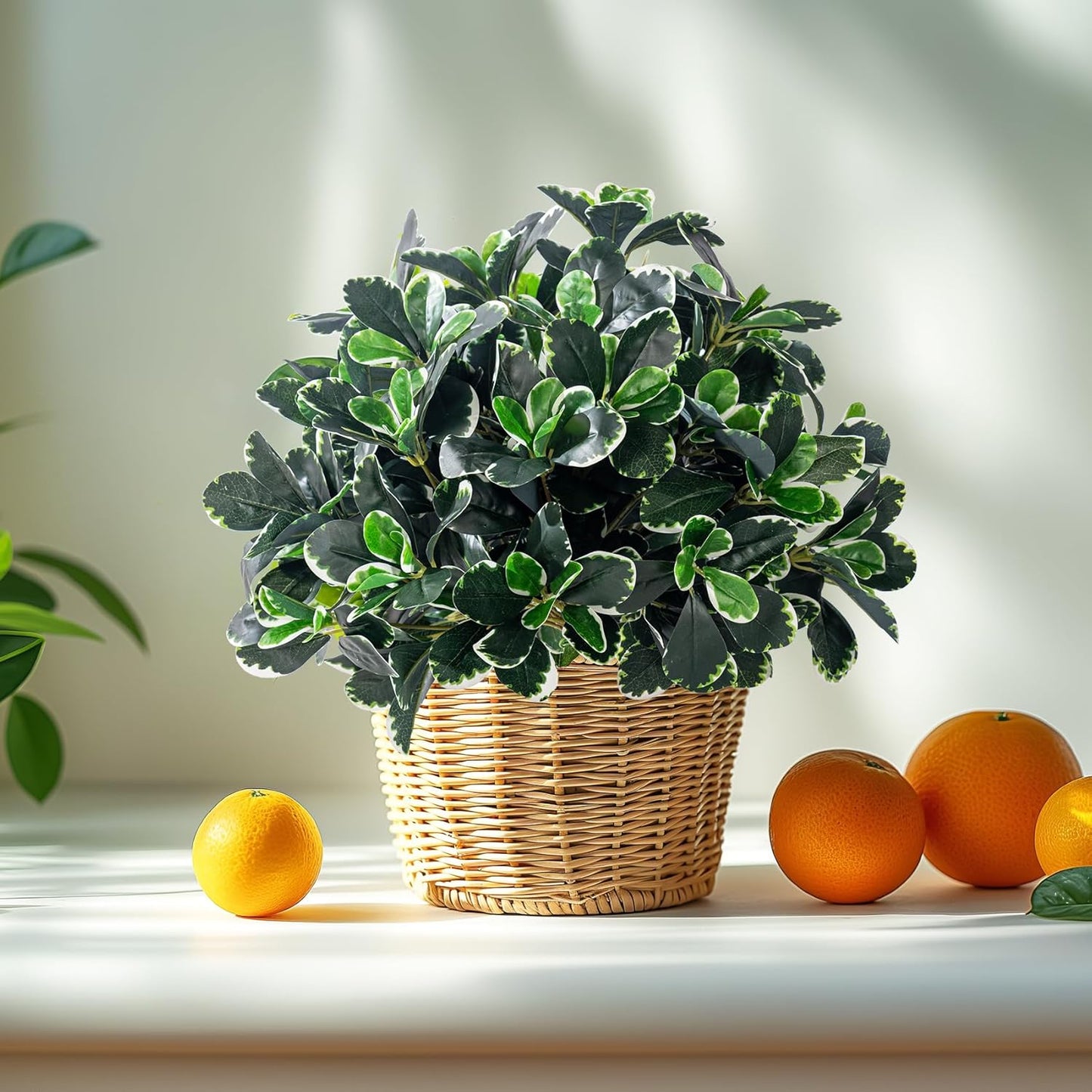 Artificial Ficus Tree Shrubs Greenery Potted Trees Plants