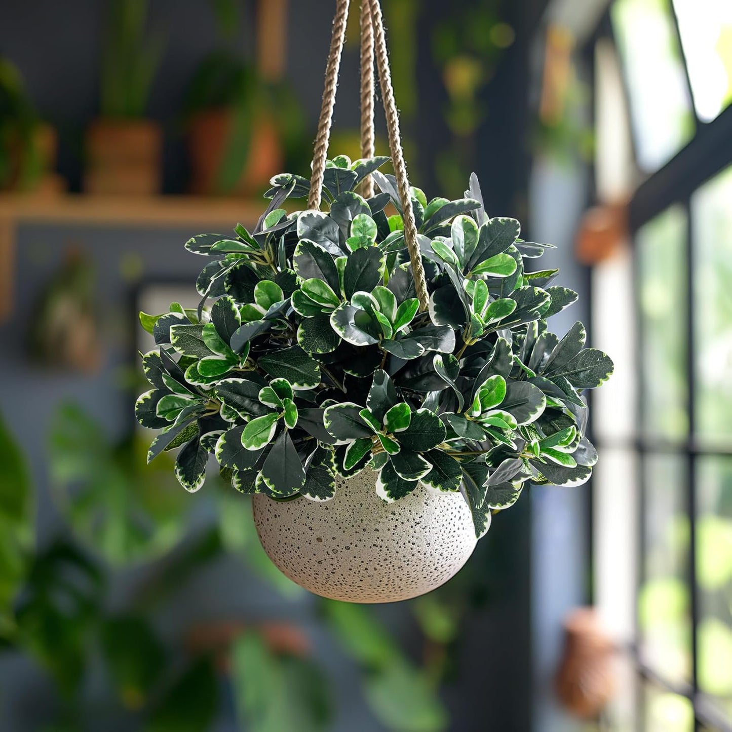 Artificial Ficus Tree Shrubs Greenery Potted Trees Plants