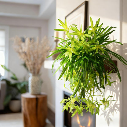 2 pcs Artificial Spider Hanging Plants Chlorophytum Greenery