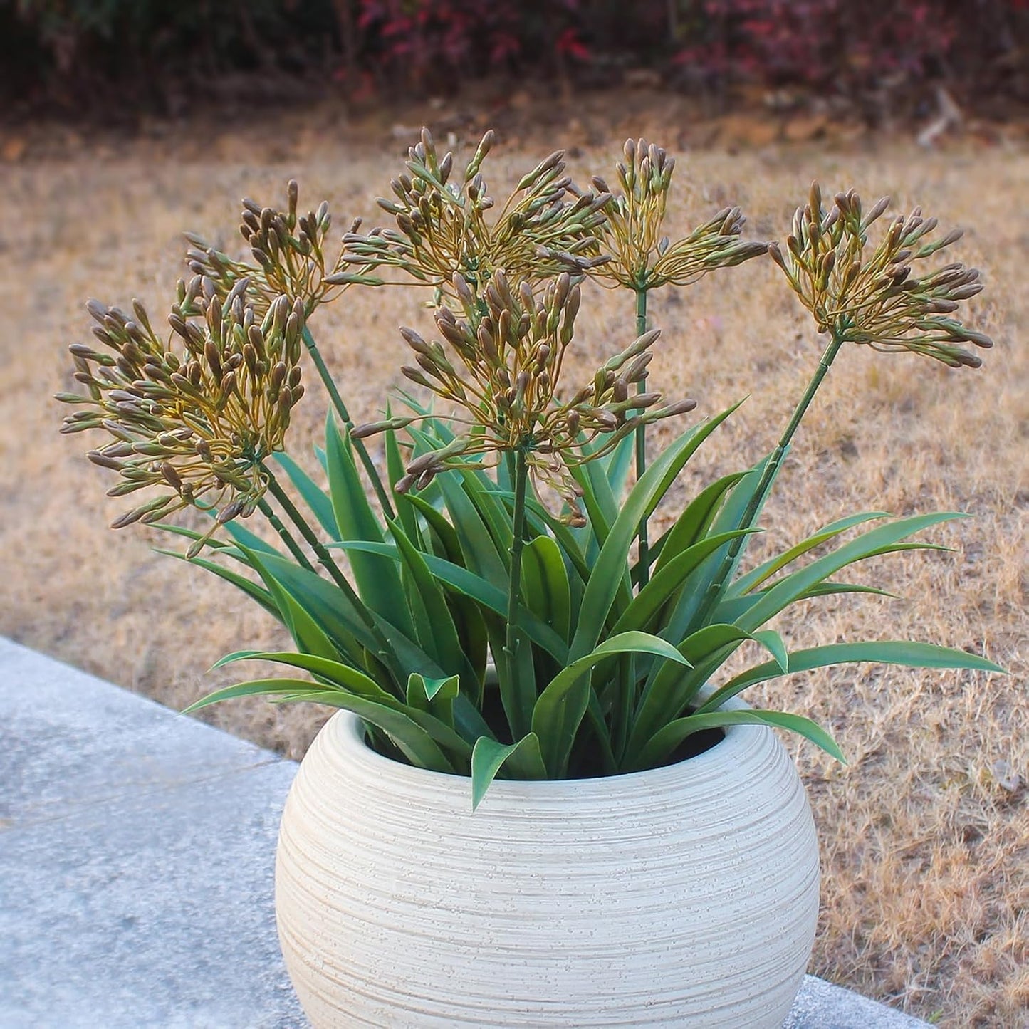 8 bundles 18.9 inch Large Artificial Agapanthus Flowers