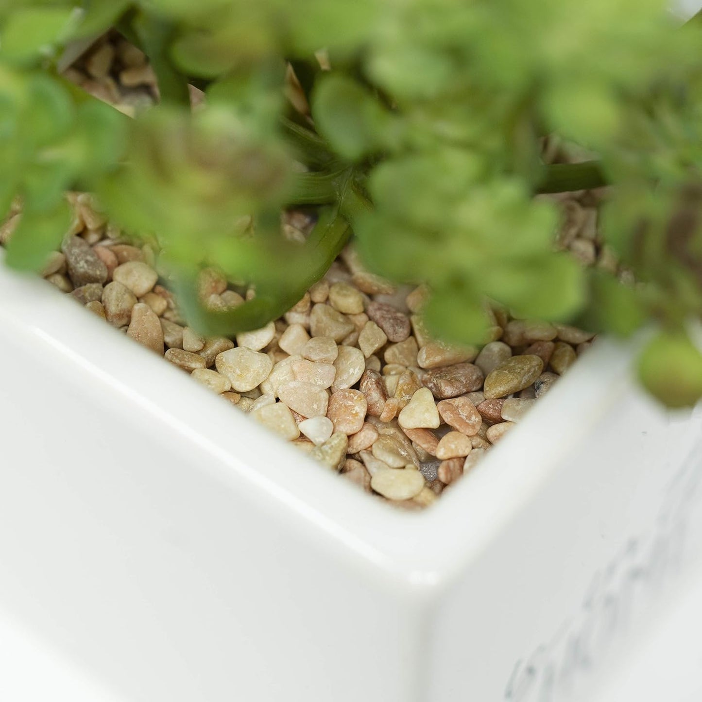 Artificial Succulent Ceramic Planter Inspirational Quote Dried Indoor