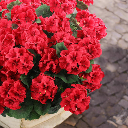 12 pcs Artificial Geranium Flowers Rose Home Kitchen