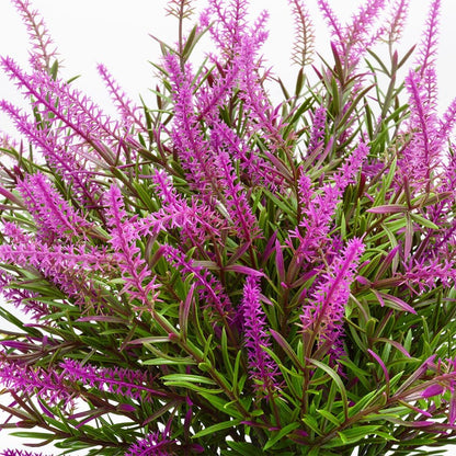 12 Bundles Outdoor Lavender Plants UV Resistant Porch