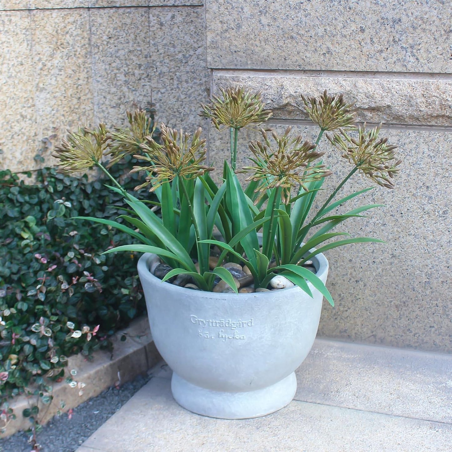 8 bundles 18.9 inch Large Artificial Agapanthus Flowers