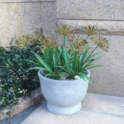 8 bundles 18.9 inch Large Artificial Agapanthus Flowers