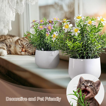 3 pack Small Artificial Potted Flowers Home Kitchen