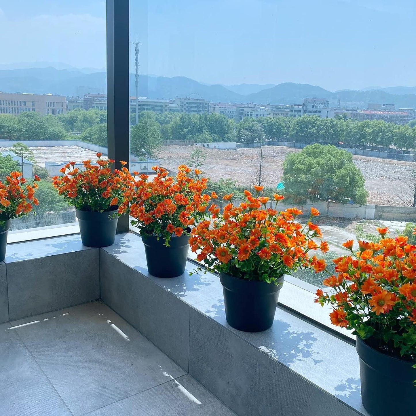 8 Bundles Orange Chrysanthemum UV Resistant Porch Garden