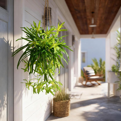 2 pcs Artificial Spider Hanging Plants Chlorophytum Greenery