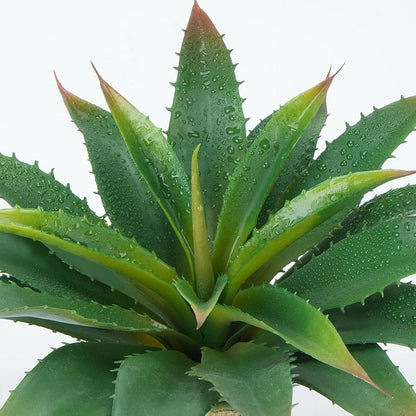 6 pcs 12.5 inch Large Artificial Succulent Aloe