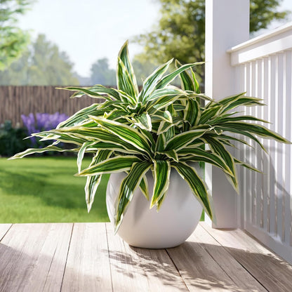 4 pcs Artificial Dracaena Stems Greenery Branches Home