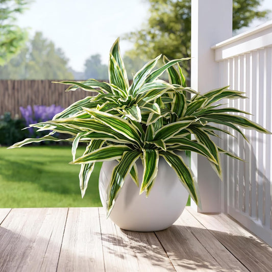 4 pcs Artificial Dracaena Stems Greenery Branches Home