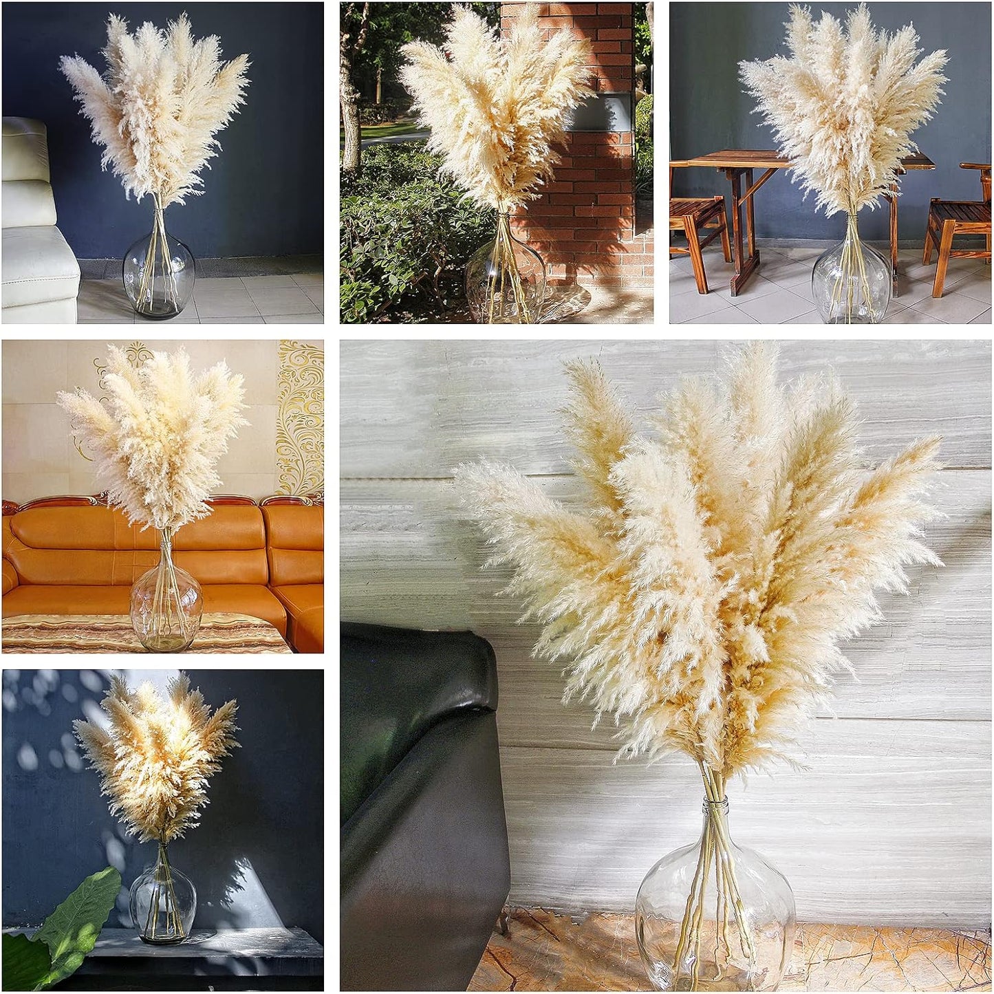 10 stems 46 inch Tall Dried Pampas Grass