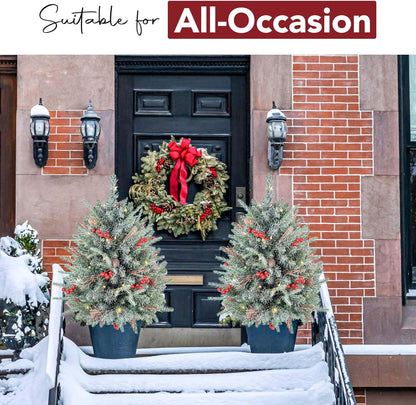 2 pack 30 inch Prelit Flocked Christmas Trees