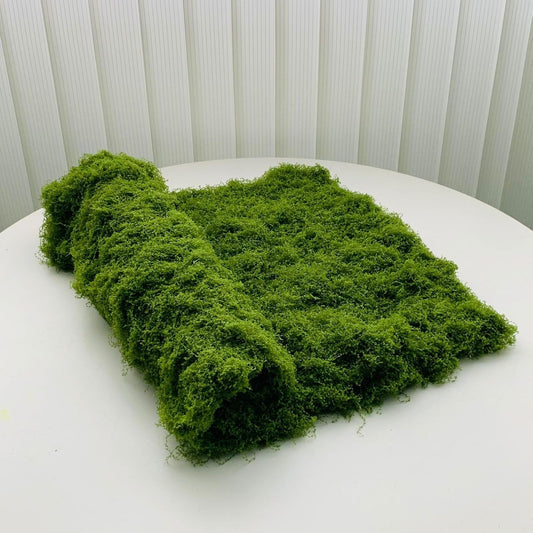Artificial Moss Mat Waterproof Grass Dried Indoor Plants
