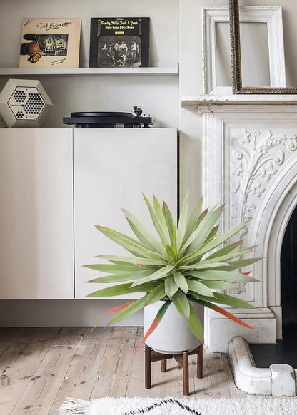 17.3 inch Artificial Agave Plant Pot Yucca Home
