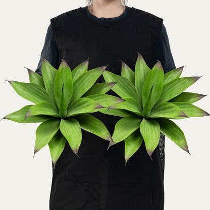 2 pack Artificial Agave Plants Resistant Succulents UV