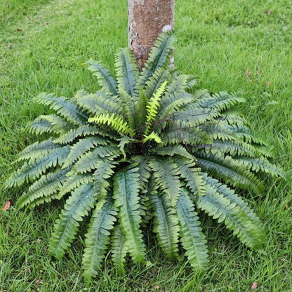 51 inch Large Artificial Ferns Fronds Home Kitchen