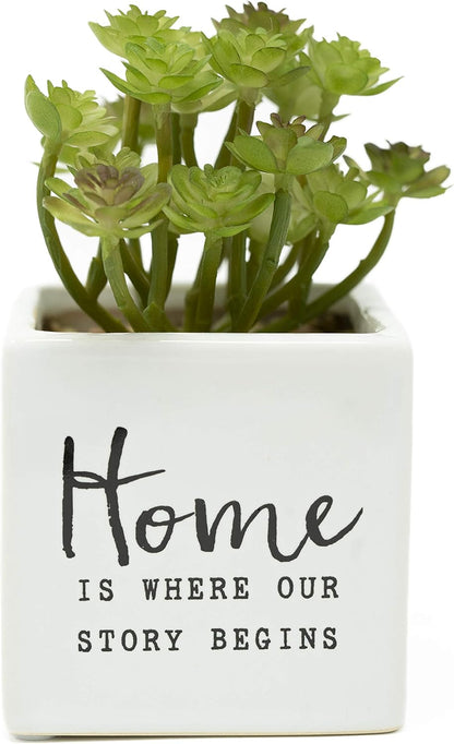 Artificial Succulent Ceramic Planter Inspirational Quote Dried Indoor